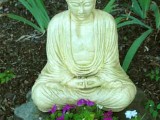 Tranquil Buddha...